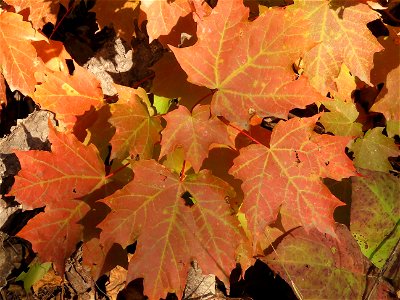 20210915-FS-Superior-SAR-005