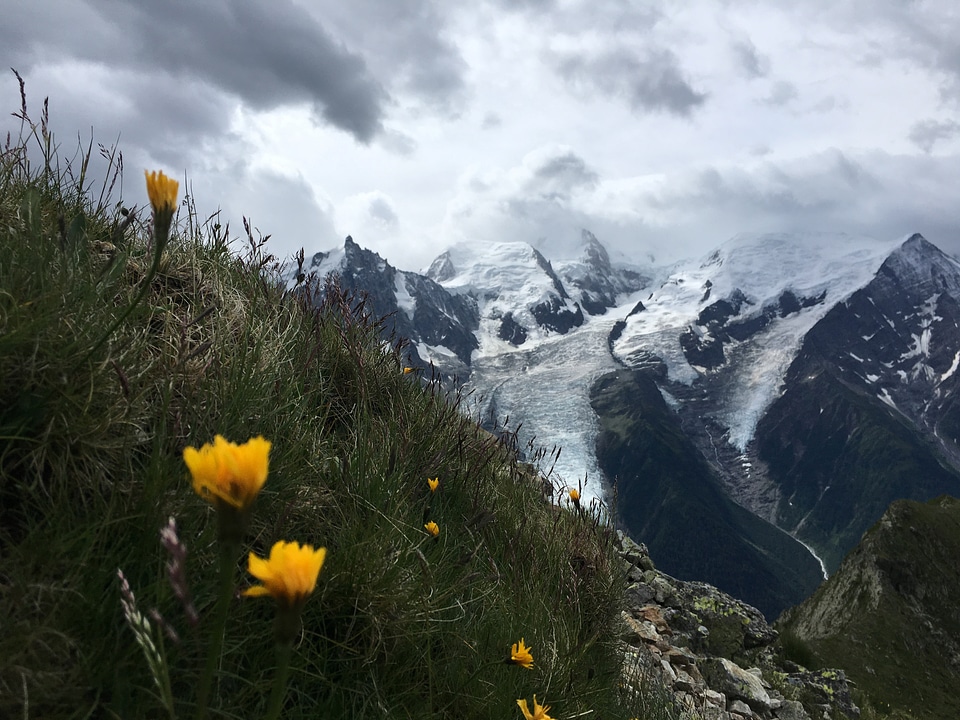 View of the Mont Blanc massif and Chamonix