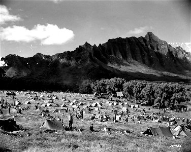SC 151486 - The 34th Inf. camping at one of the bivouac areas at Waikane during maneuvers. Hawaii. photo