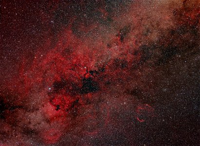 Cygnus region (MIR 37mm) photo