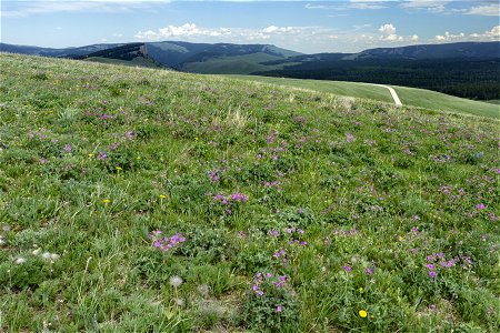 Near Burgess Junction