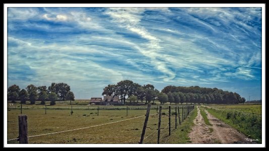 Four Impressions of the Brabant Ridge - 2/4 (View on one of the hills) photo