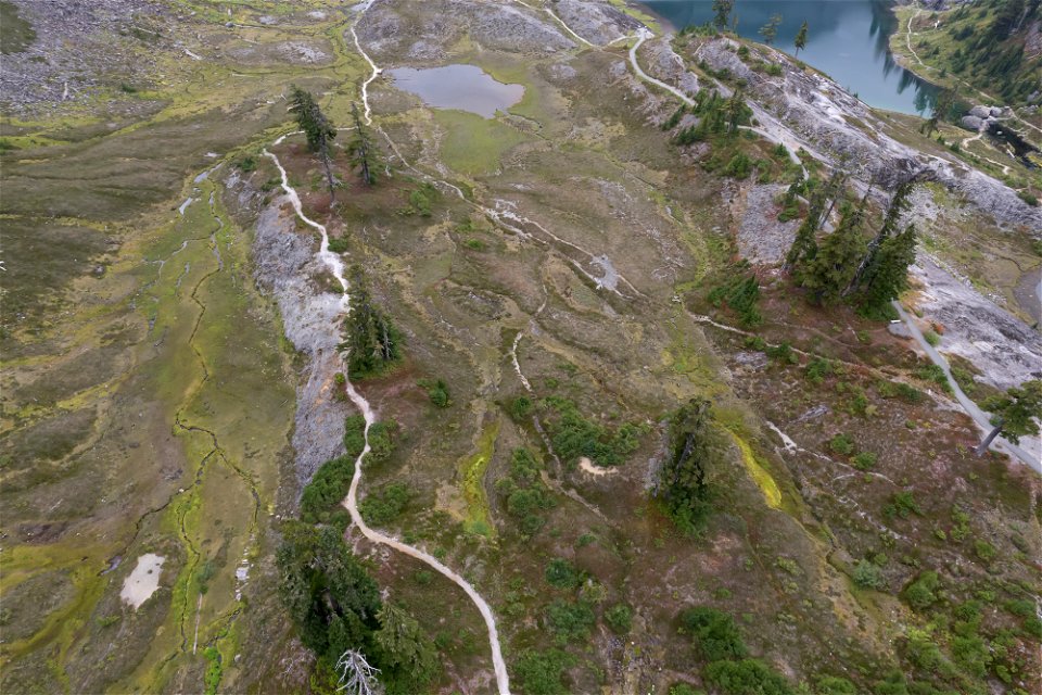 Fire and Ice Tr-before-Visitor Ctr area trails-impacts-Heather Meadows-Mount Baker-1