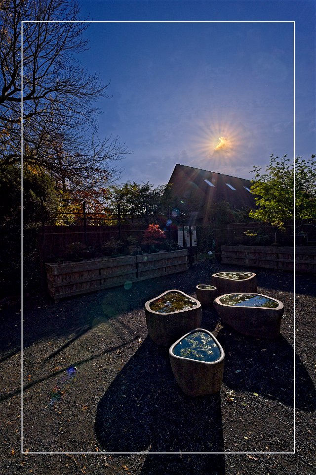Sunstar I