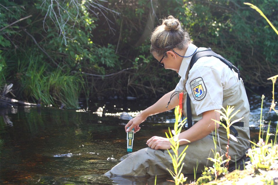 Water Quality Sampling
