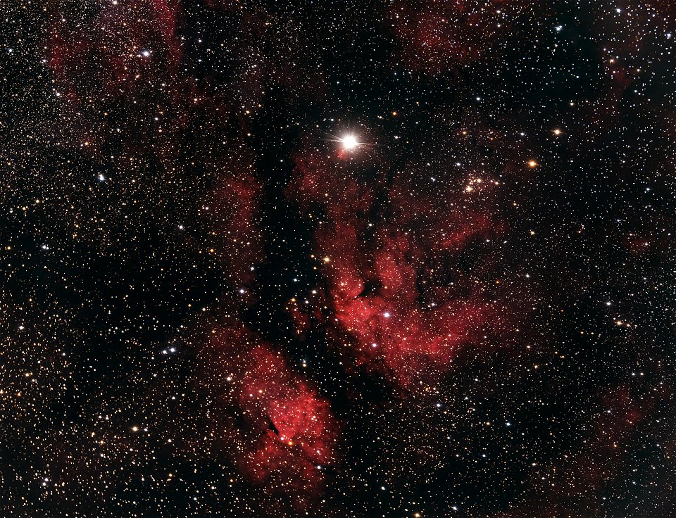 Sadr Region in Cygnus