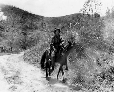 Horse Marine going into combat. Saipan. June, 1944.
