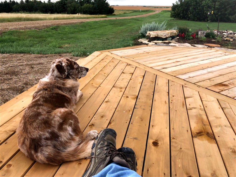 Chilling On the Deck