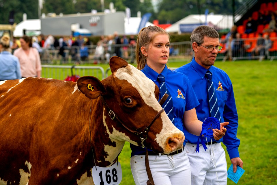 Cow people (3 of 5)