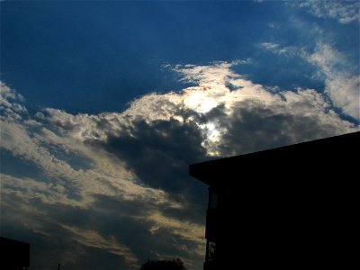IMG_8751