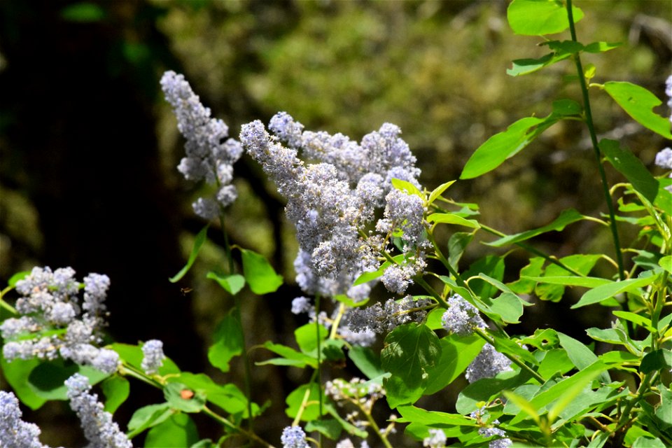 untitled-1179jpg_49385572026_o