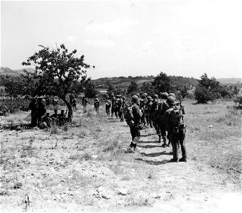 SC 270619 - 2nd Bn., 15th Inf., of the 3rd Div., advancing through fields leading to mills surrounding Brignoles, France. 18 August, 1944. photo