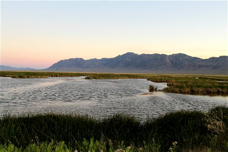 Fish Springs National Wildlife Refuge 2021