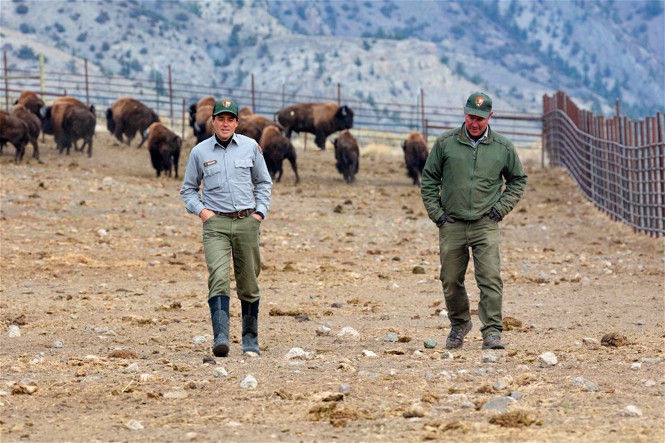 Bison biologists Chris Geremia and Doug Blanton in the Stephens Creek bison facility