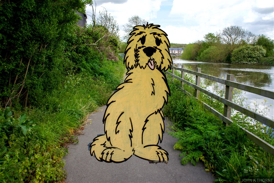 Graffiti Dog goes for a walk