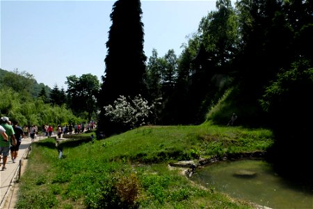 flori-manprislop2015_0614_094020_18840563836_o