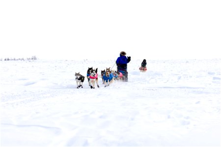 Kobuk 440 racers on the trail between the villages of Selawik and Ambler. photo