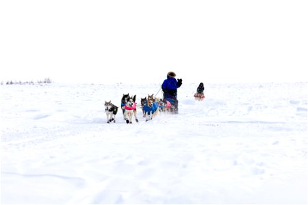 Kobuk 440 racers on the trail between the villages of Selawik and Ambler.