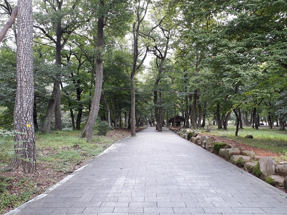 Pyochungsa Temple In The Yeongnam Alps