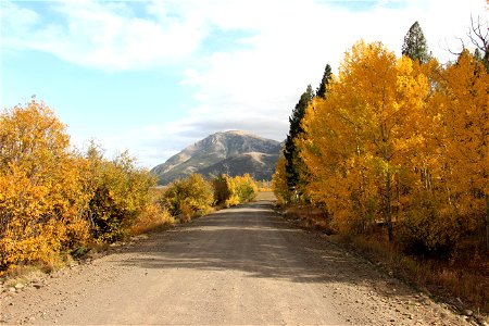 Yellow Dirt Road photo