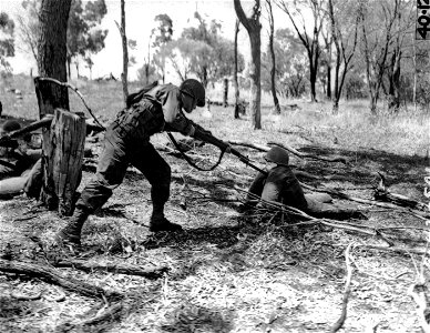 SC 166682 - Riflemen mopping up dummy machine gun nest after it had been knocked out with hand grenades during a demonstration given by soldiers in Australia. Rockhampton, Australia. 27 November, 1942. photo