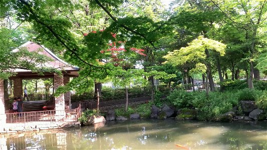 Mabashi Park in Suginami-ku