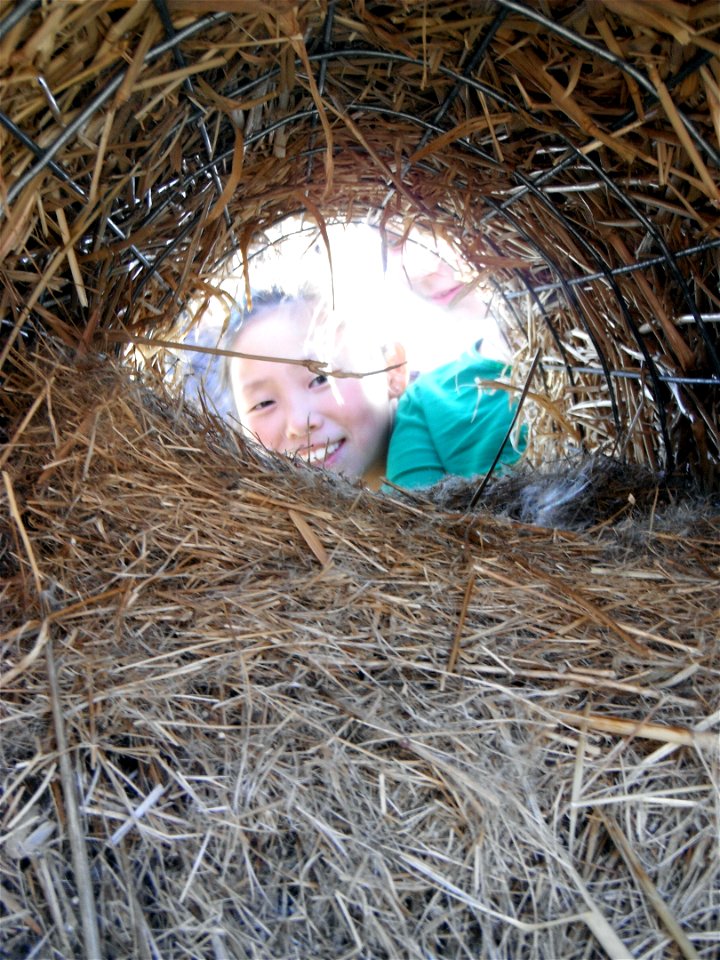 Rebabing Old Hen Houses
