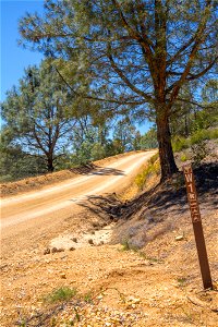 Williams Hill