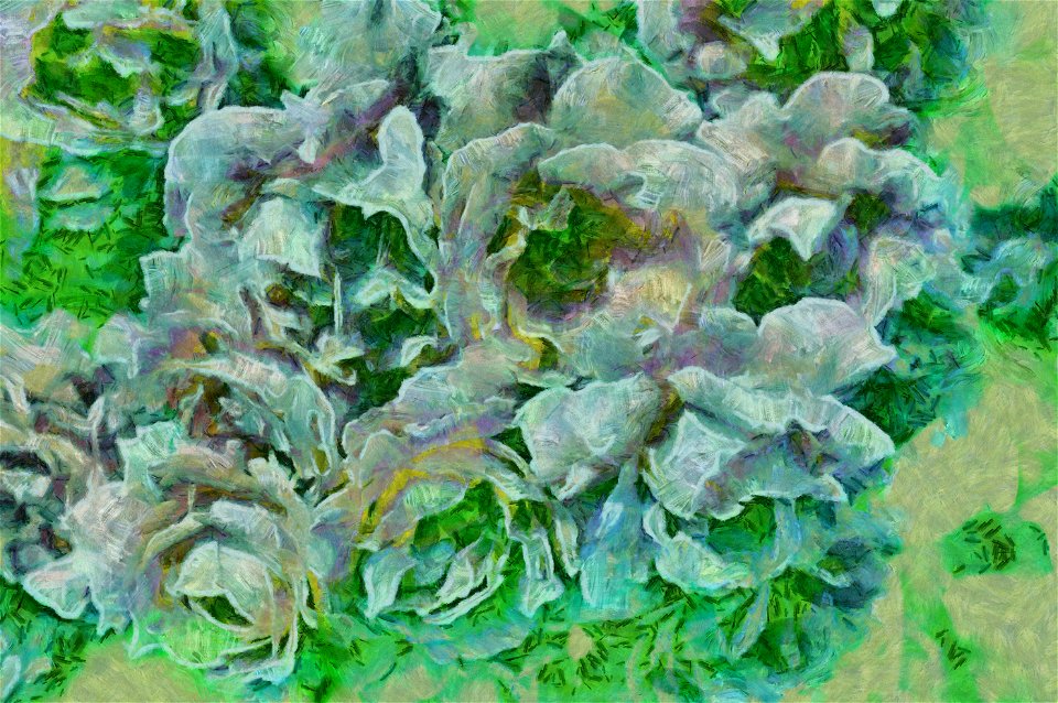 Manet 6.aop