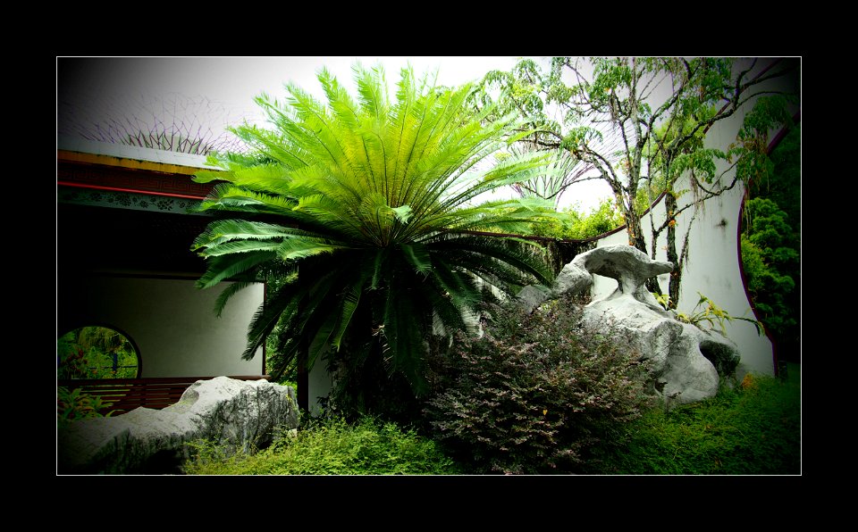 Gardens by the Bay photo