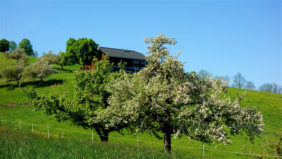 DSC09467