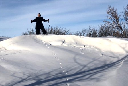 Cori the Drift Surfer