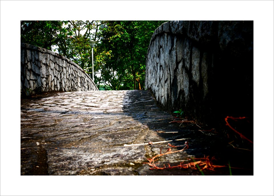 garden & park - the bridge