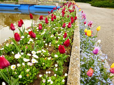 Herestrau Park in spring (90)