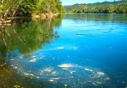 Sacramento River Bend Outstanding Natural Area