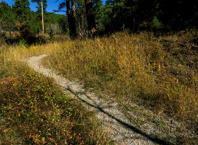 Grass and trees along the trail photo