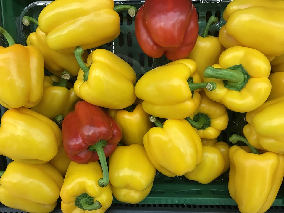 Colorful red and yellow peppers paprika background