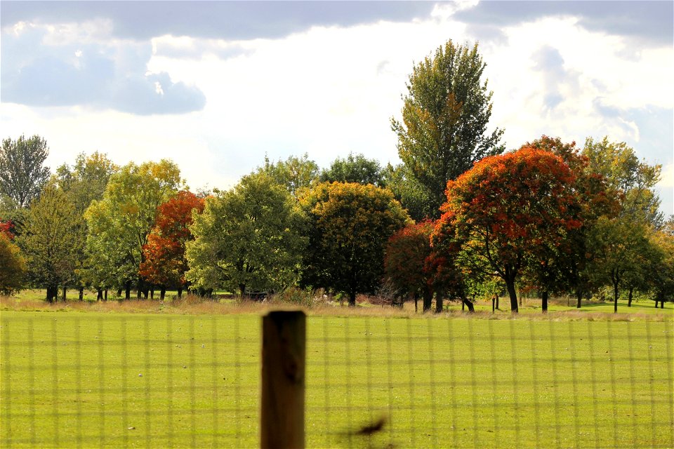 Malkins Bank Golf Club