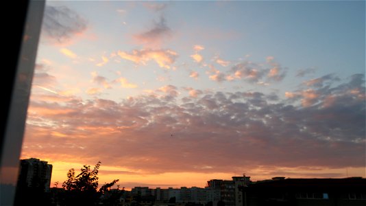 sunset-apus_2020-07-25_06044707