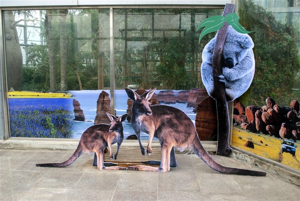 Hantaek Botanical Garden