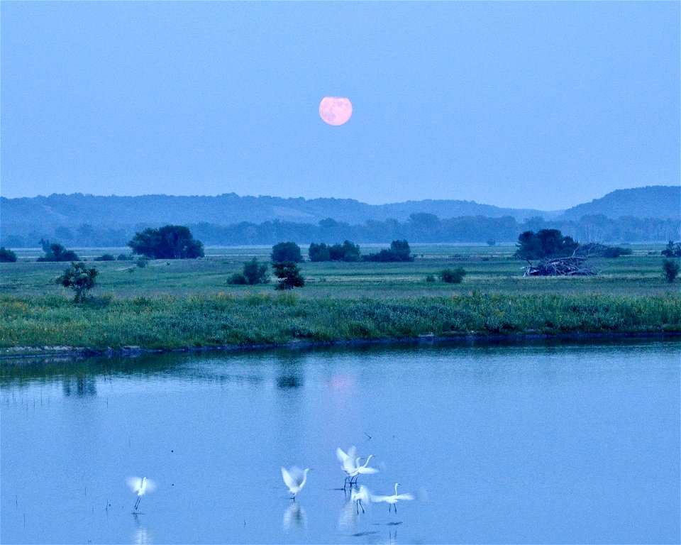 Harvest moon photo