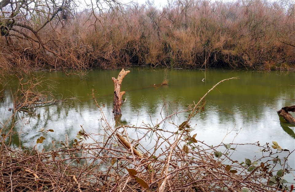 Cosumnes River Preserve