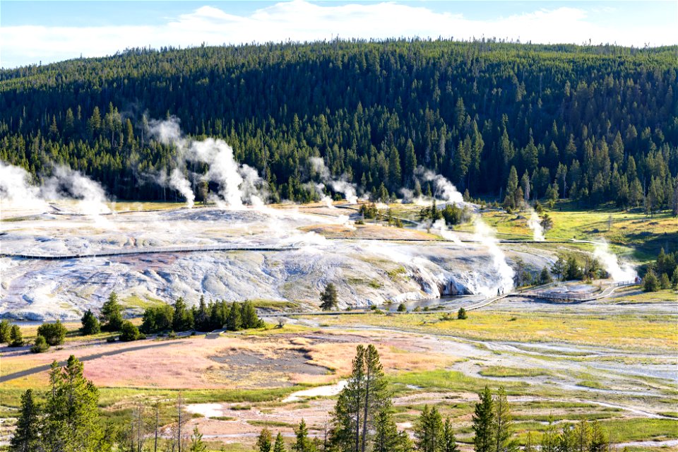 Steamy morning on Geyser Hill
