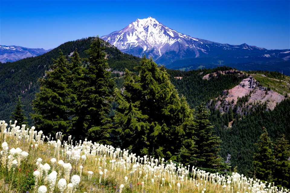 Willamette National Forest, Coffin Mountain Trail
