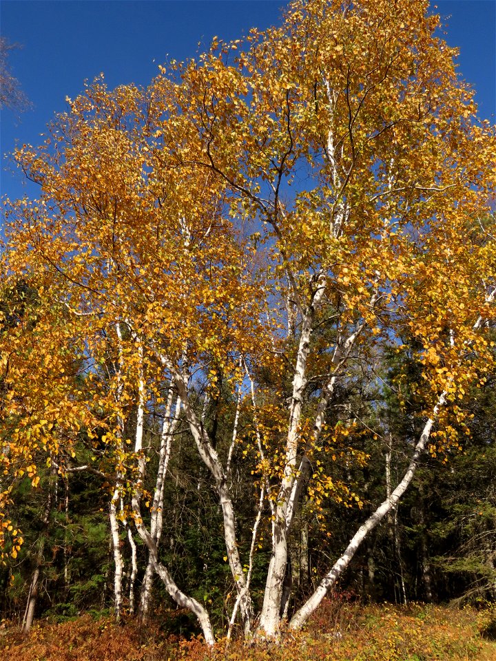 20211019-FS-Superior-SAR-015