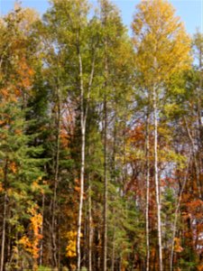 20210928-FS-Superior-SAR-016