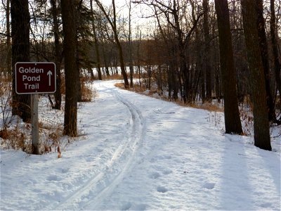 The first set of cross-country ski tracks have finally been made at Rydell NWR! photo