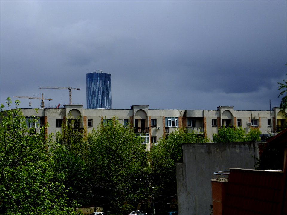 nori-sediu2015_0422_132409(1)