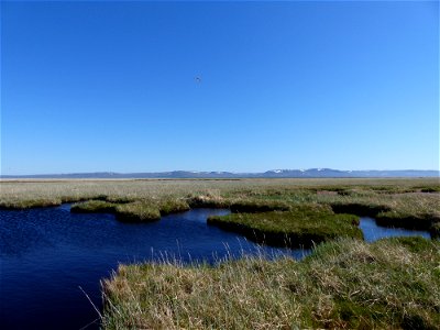 Kigigak island wetlands photo
