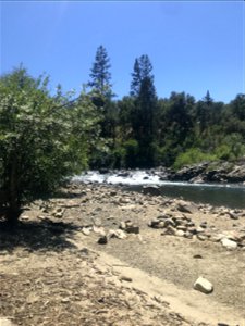 IMG_6987_DMNA_TrailEndAtRiver_Tomich